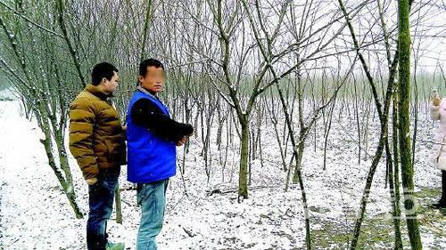 工人遭抢被绑树上冻死 全身赤裸头上有血迹