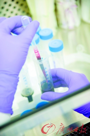 自体免疫细胞可治再障需过发烧感染两大关