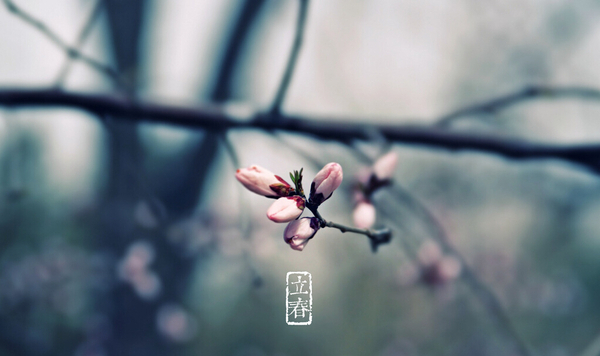 QQ截图20160204142806