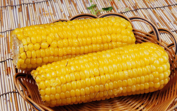 QQ截图20160204161124