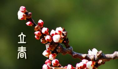 立春时节的“三三”养生法