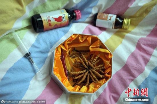 资料图：冬虫夏草。 图片来源：CFP视觉中国