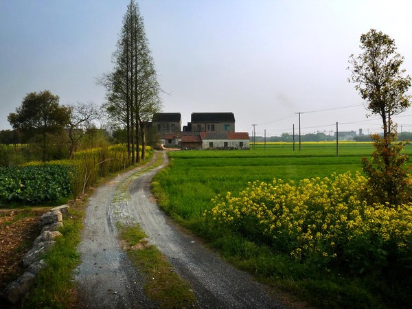 走得再远也别忘家