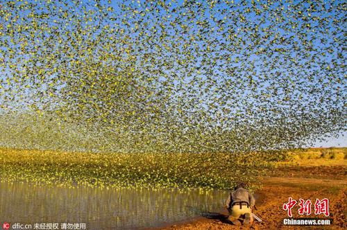 eb771a7bef9842a2bd4ab040dea60d26