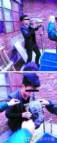 资料图：小伙疑放生鳄龟玩“吻别” 被咬住嘴唇。