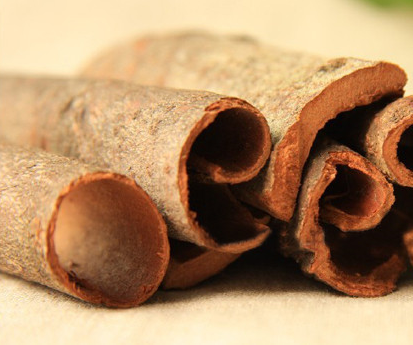 日媒总结利用肉桂改善寒性体质的神奇妙用