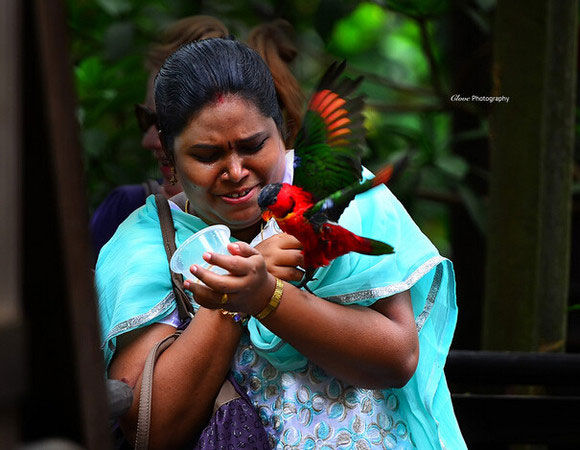 完爆！10条世间最奇葩的离婚理由
