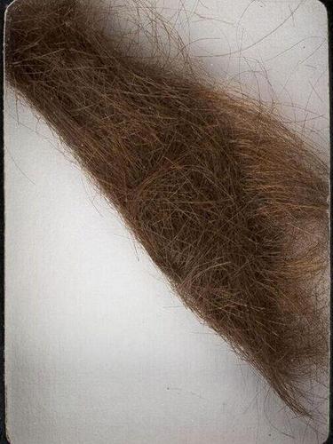 约翰-列侬一缕头发以3.5万美金被拍卖(图)