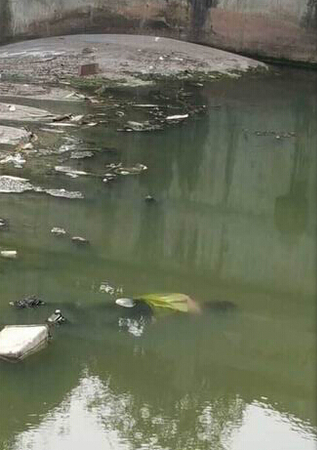 四川女子坠河身亡