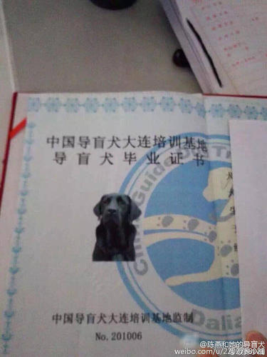 记者获悉，公安部门正在全力调查中。图为乔乔的毕业证。