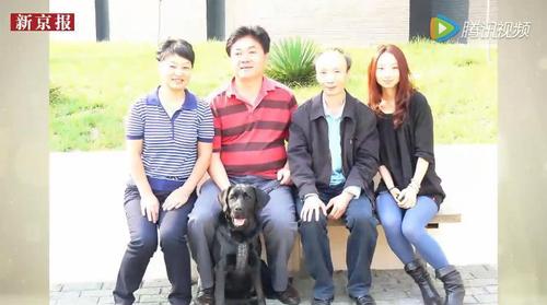 昨日（2月22日）上午，微博、朋友圈，到处都在转发这条消息，大家在找寻一条名为“乔乔”的导盲犬。 图为导盲犬乔乔和主人田凤波在一起。