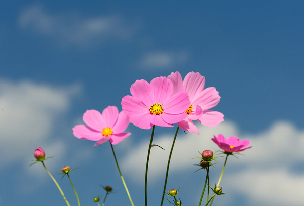 QQ截图20160224095315