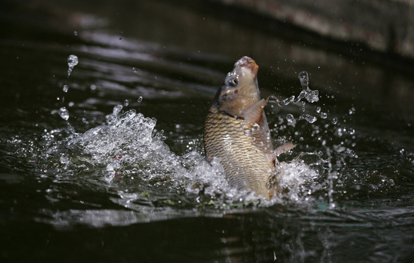 QQ图片20160224100227