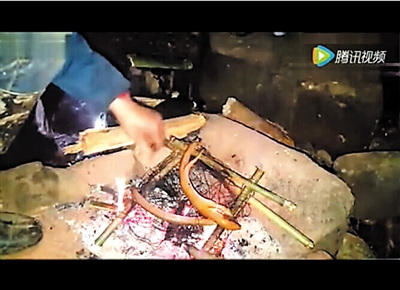 两人烤野黄鳝果腹