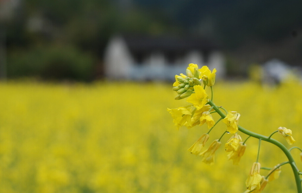 QQ截图20160224113032