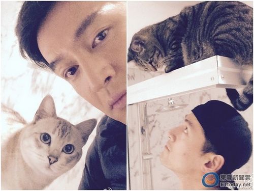 胡歌坦承未谈恋爱母亲近几年不会直接逼婚（图）