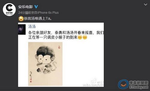 汤唯宣布怀孕：正在等一只调皮小猴子的到来（图）