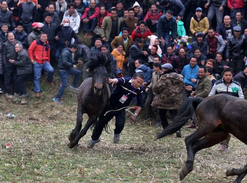 斗红眼的马一个人根本就拦不下来。