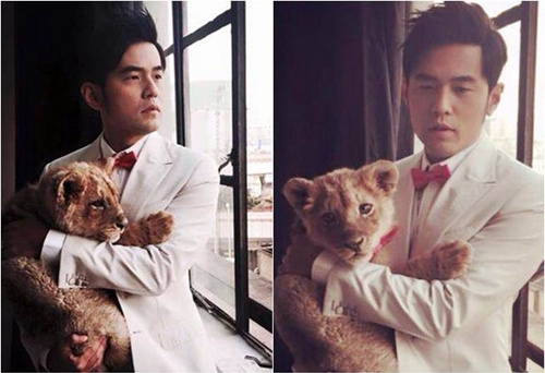 周杰伦与“新宠物”合影怀抱小狮子面不改色（图）
