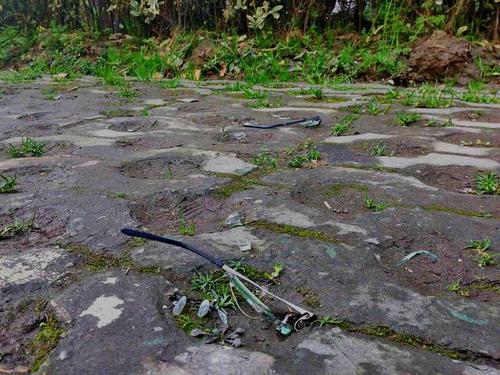 武汉15岁学霸女孩跳18楼身亡 调考离目标差几分