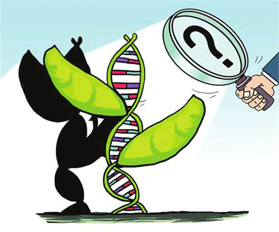 研究：食物真的会影响我们的基因