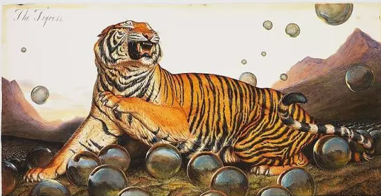 李奥纳多收藏的沃尔顿·福特，《老虎》（2013） 图片：paulkasmingallery.com