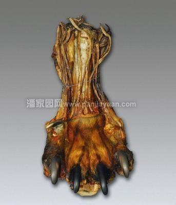 虎骨、熊骨