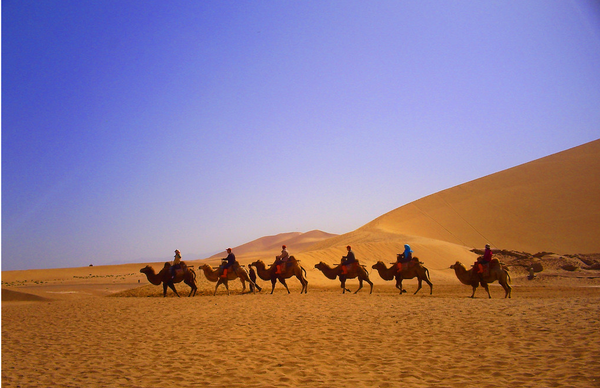 QQ图片20160301102543