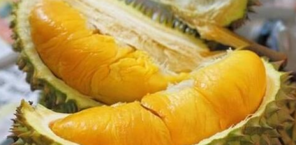 妹子吃榴莲流鼻血