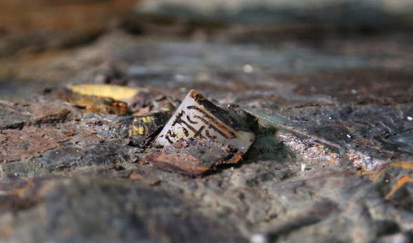 20160302102736 20160302102736