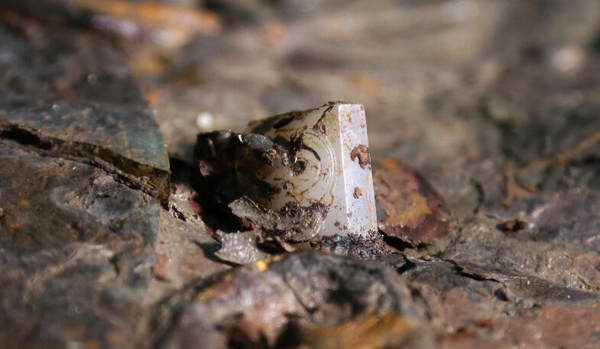 20160302102727 20160302102727