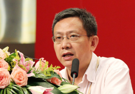 全国政协委员贾康 资料图片