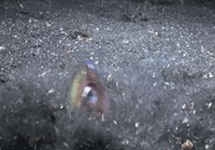 360截图20160304165549966