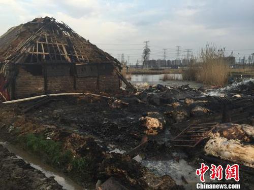 浙江一养猪场发生火灾100余头猪瞬间成“烤猪”