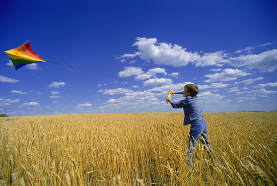 撞风筝线险被割喉 放风筝危险吗？