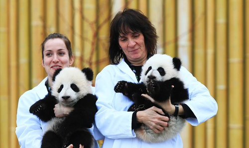 QQ图片20160308145846