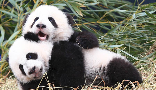 QQ图片20160308145909