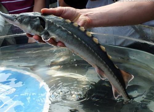 360截图20160309224512338