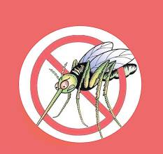 综述：寨卡病毒的新发现值得警惕