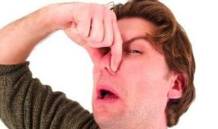 人每天都放屁 关于屁的那些事