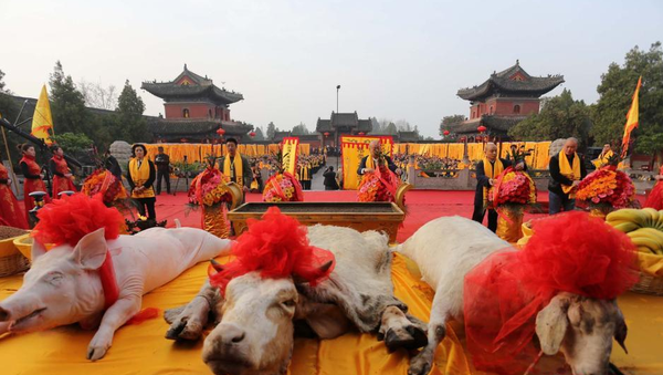 QQ图片20160310173346