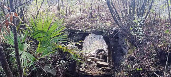 QQ图片20160311173233