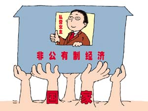 非公经济政策
