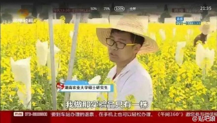 曝大学生实验田油菜花被游客摘 或无法毕业(图)