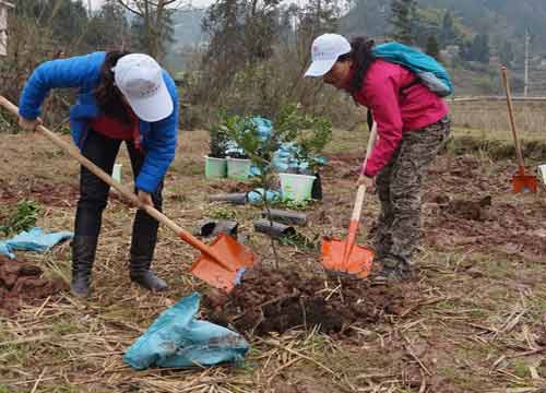 点击图片浏览更多精彩内容