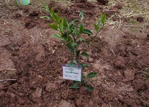 点击图片浏览更多精彩内容
