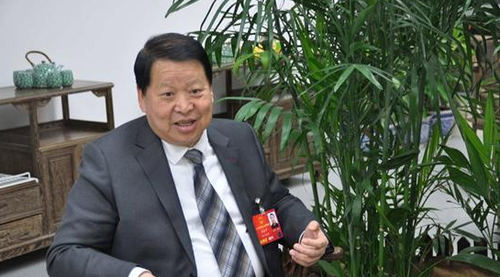 全国人大代表、浙江省奉化市滕头村党委书记傅企平