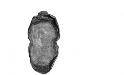 彭山江口出土的银锭。