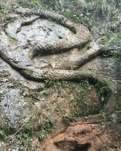 QQ图片20160318173352