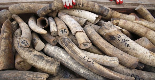 QQ图片20160321094954